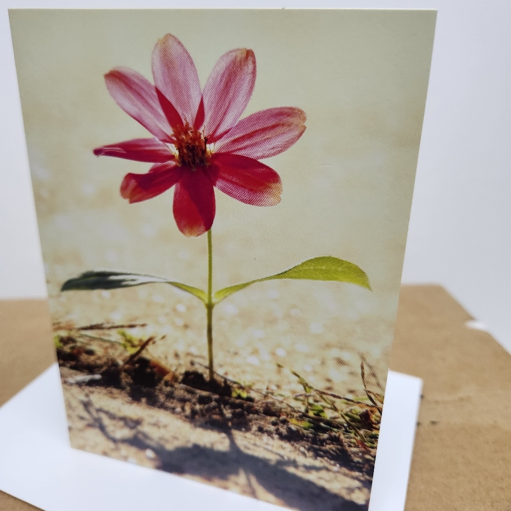 Pink Flower Note Cards